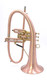 Bell BTF7 Axis Model Flugelhorn in Satin Lacquer 
