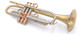 Bell Trumpets BT9-345-720 Trumpet in Satin Lacquer 