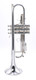 Pre-Owned Flip Oakes Wild Thing Trumpet in Silver Plate