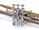 Pre-Owned Del Quadro "Grizzly" Trumpet in Raw Brass 