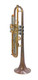 Pre-Owned Del Quadro "Grizzly" Trumpet in Raw Brass 