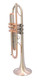 Save a year wait on this and $$$:   Böhme Aereus Trumpet with large bell!