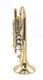  Bach Large Bore  Stradivarius 184  Shepherds' Crook Cornet: Great player!
