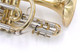  Bach Large Bore  Stradivarius 184  Shepherds' Crook Cornet: Great player!