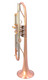 The Amazing AR Resonance Romantica Trumpet in Clear Lacquer fresh from ITG! 