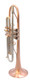 Just In From ITG! AR Resonance Sergei Nakariakov Trumpet in Clear Lacquer 