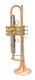 Thane Standard Series Sequoia Trumpet in Raw Brass 