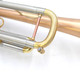 Thane Standard Series Sequoia Trumpet in Raw Brass 