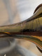 Rare  late 1940 Conn 22B New York Symphony Special Trumpet in original finish