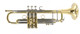 We have one!  Pre-Owned Bach Stradivarius 19072 Vindabona Trumpet in Clear Lacquer 