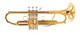 A Rare Beast indeed:   Monette MF Trumpet in Polished  Gold Plate