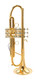 A Rare Beast indeed:   Monette MF Trumpet in Polished  Gold Plate
