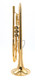 A Rare Beast indeed:   Monette MF Trumpet in Polished  Gold Plate