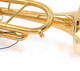 A Rare Beast indeed:   Monette MF Trumpet in Polished  Gold Plate