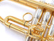 A Rare Beast indeed:   Monette MF Trumpet in Polished  Gold Plate