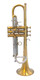 Pre-Owned Flip Oakes Wild Thing Trumpet in Raw Brass 