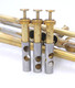 Pre-Owned Flip Oakes Wild Thing Trumpet in Raw Brass 