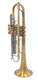 Pre-Owned Flip Oakes Wild Thing Trumpet in Raw Brass 
