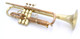  Full Satin beauty:  CarolBrass  Phosphor Bronze Trumpet CTR-4340L-YLT-SL