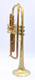  Full Satin beauty:  CarolBrass  Phosphor Bronze Trumpet CTR-4340L-YLT-SL