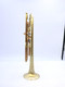  Full Satin beauty:  CarolBrass  Phosphor Bronze Trumpet CTR-4340L-YLT-SL