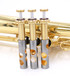 CarolBrass 4000-YSS-Bb-L  Flugelhorn in Lacquer 