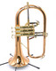  Red Brass Beauty! Carol Brass 6200-rss Flugelhorn in  clear lacquer