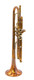 Incredible Custom Carol Brass Custom Bronze 4440L-PSM Trumpet in Amber Lacquer 
