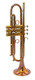 Incredible Custom Carol Brass Custom Bronze 4440L-PSM Trumpet in Amber Lacquer 