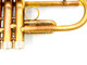 Monster  Del Quadro  Superhorn with three bells, twin tube leadpipe, and MAW valves!