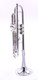 Back to school DEAL!  B&S "Benny Brown" Model Personality Trumpet