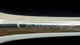 Pre-Owned Schagerl 'Phoibe' Eb Trumpet in Silver Plate 