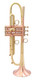 Show Demo Bell Trumpets 9-352-Bimetal 430 YC in Satin Lacquer 