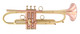 Show Demo Bell Trumpets 9-352-Bimetal 430 YC in Satin Lacquer 