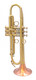 From Trent's  Quiver:  Bell BT7-352 Trumpet  and  Bi-metal Taylor Bell