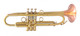 From Trent's  Quiver:  Bell BT7-352 Trumpet  and  Bi-metal Taylor Bell