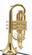 Shop Demo Carolbrass CCR-2000-YSS-L Bb Cornet 