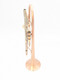 Pre-Owned AR Resonance Romantica Trumpet in brushed lacquer with polished inner bell