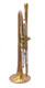 New Price! Monette Prana Raja P3 30th Anniversary Edition Trumpet in Raw Brass