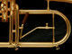 Custom Adams F2 Flugelhorn: Build your Own