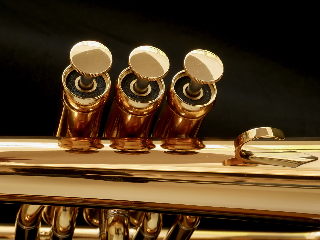 Adams Sonic flugelhorn in gold lacquer finger buttons