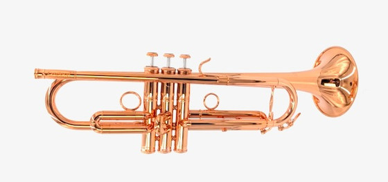 PXL_20250903_165546025__11304.