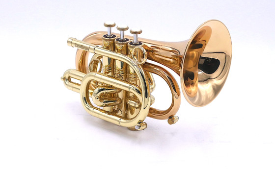 Carolbrass CPT-3000-GLS-Bb