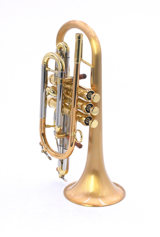 Carol Brass 6882T Dual Trigger Cornet model: A ton of horn for the