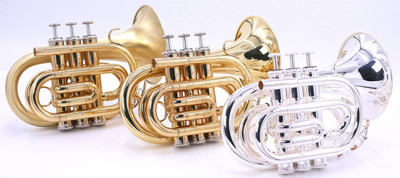 Upgrade Your Sound with Large Bell Pocket Trumpet