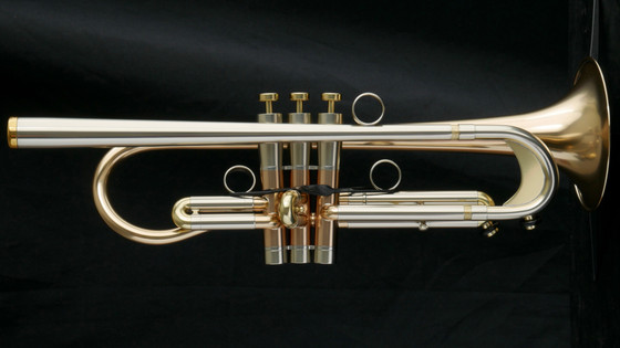 trumpet buzz ボトムキャップ Amazon | buzz ボトムキャップ ヤマハ用 GP トランペットボトム