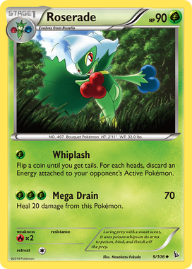 https://images.pokemontcg.io/xy2/9_hires.png