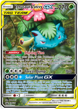 https://images.pokemontcg.io/smp/SM229_hires.png