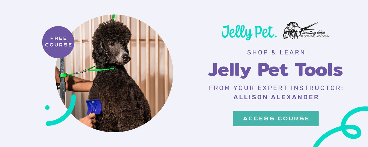 Shop & Learn: Jelly Pet Tools from your expert instructor Allison Alexander. Access Course