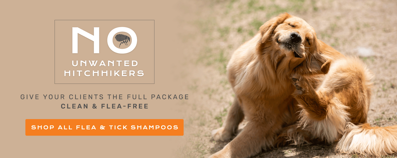 No unwanted hitchhikers! Give your clients the full package! Clean & flea-free!